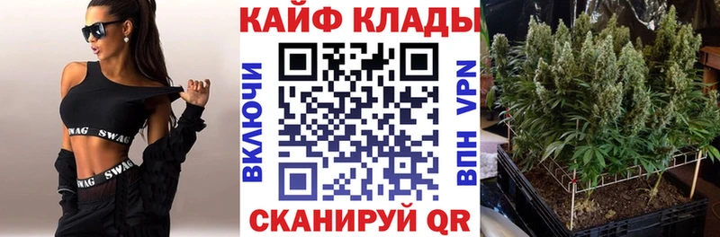 Что такое Семилуки Бошки Шишки Псилоцибиновые грибы Гашиш МЕФ Cocaine