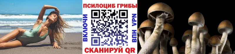 маркетплейс состав  omg вход  Семилуки  Псилоцибиновые грибы Magic Shrooms 